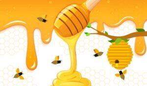 Can eating expired honey be harmful