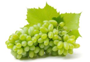 Green grapes or black grapes. Which one are better and healthy