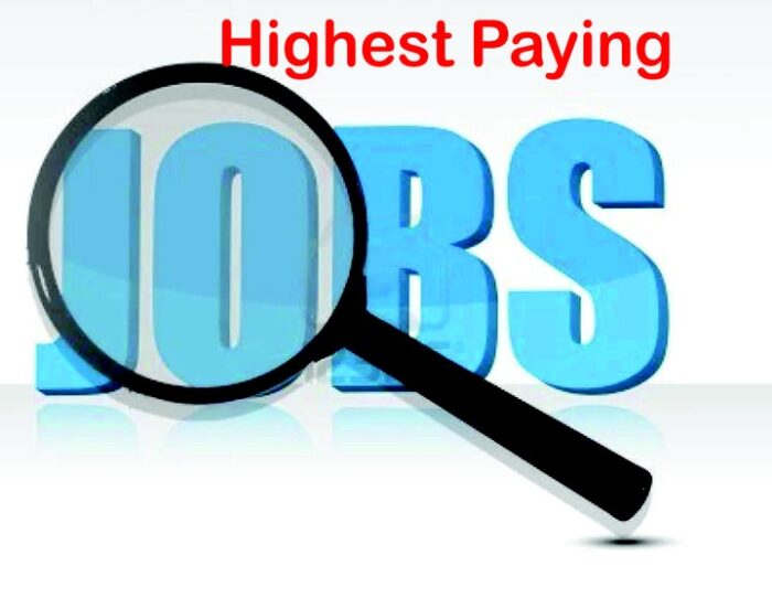 20 Highest Paying Jobs In Nigeria 2023